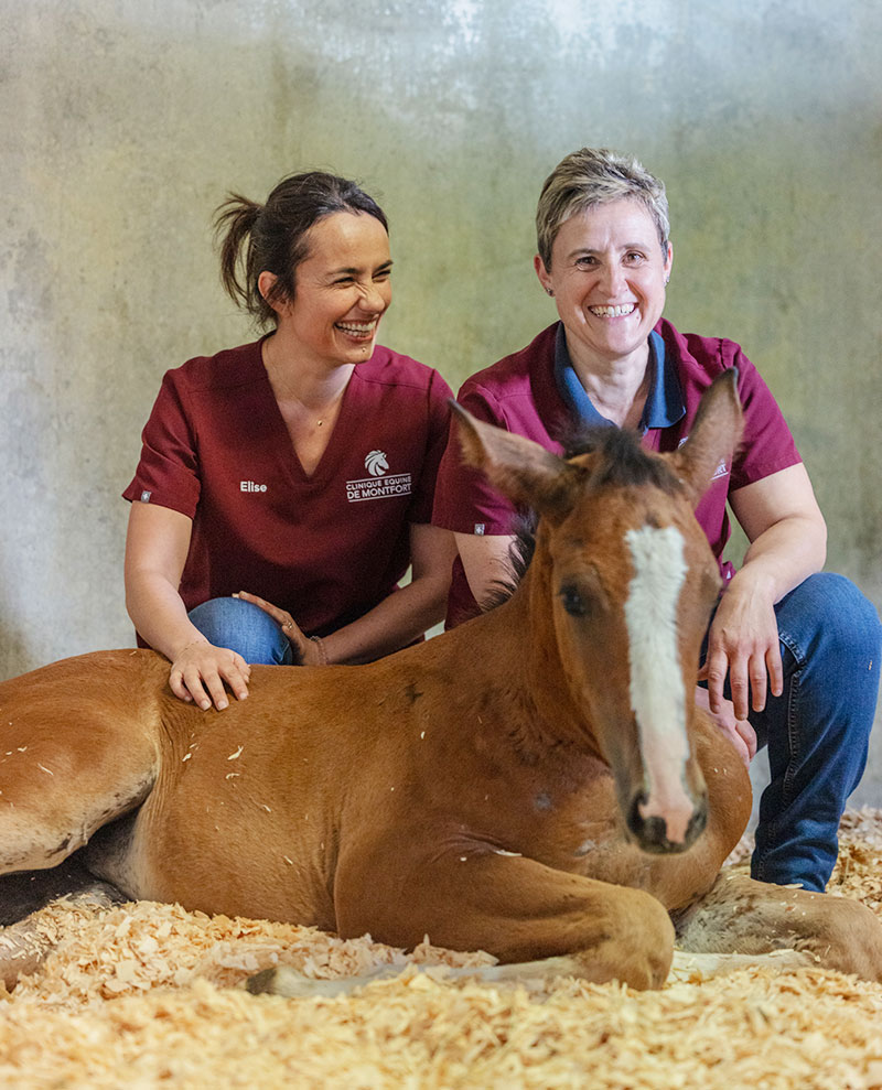 Neonatalogie équine Clinique équine de Montfort