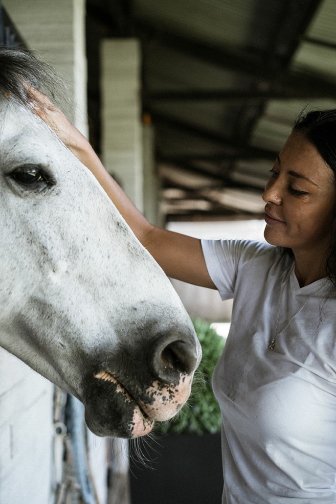 dentiste cheval le Mans - Clinique équine de Montfort