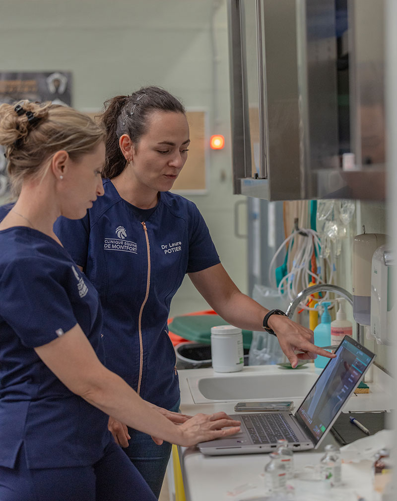 imagerie équine clinique de Montfort