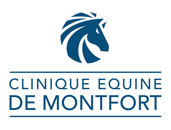 Clinique équine de Montfort