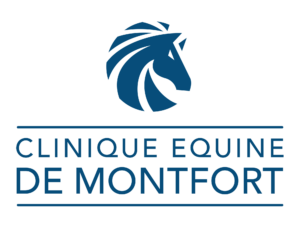 Urgence vétérinaire équine le Mans - Clinique équine de Montfort