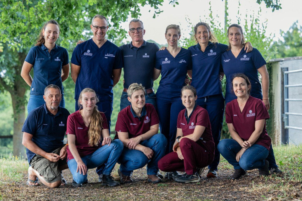 vétérinaires clinique équine de Montfort